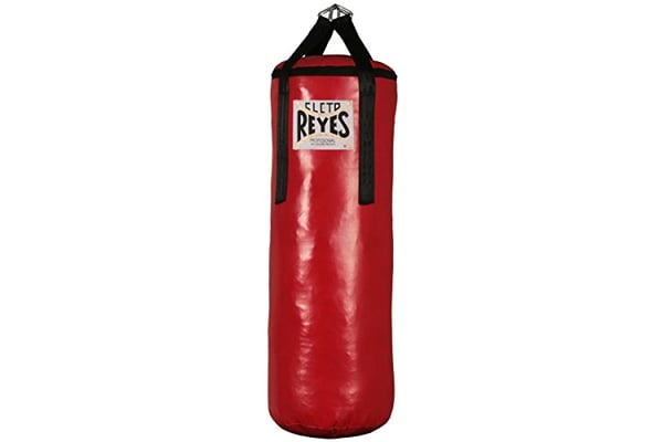 Cleto Reyes Large Unfilled Punching Heavy Bag